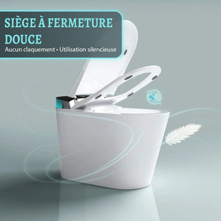 SERA Witty Smart Bidet Toilet, One-Piece Toilet with Auto Jet Flush, Auto Open/Close Lid, Warm Water Wash, Warm-Air Dryer, Heated Seat – Black Display