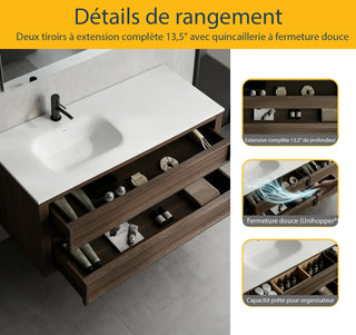 Meuble-Lavabo Autoportant 48po Chêne Fumé avec Comptoir de Surface Solide Blanc