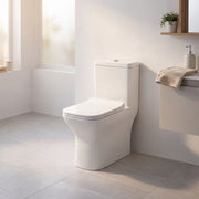 Toilette Monobloc - Ibiza