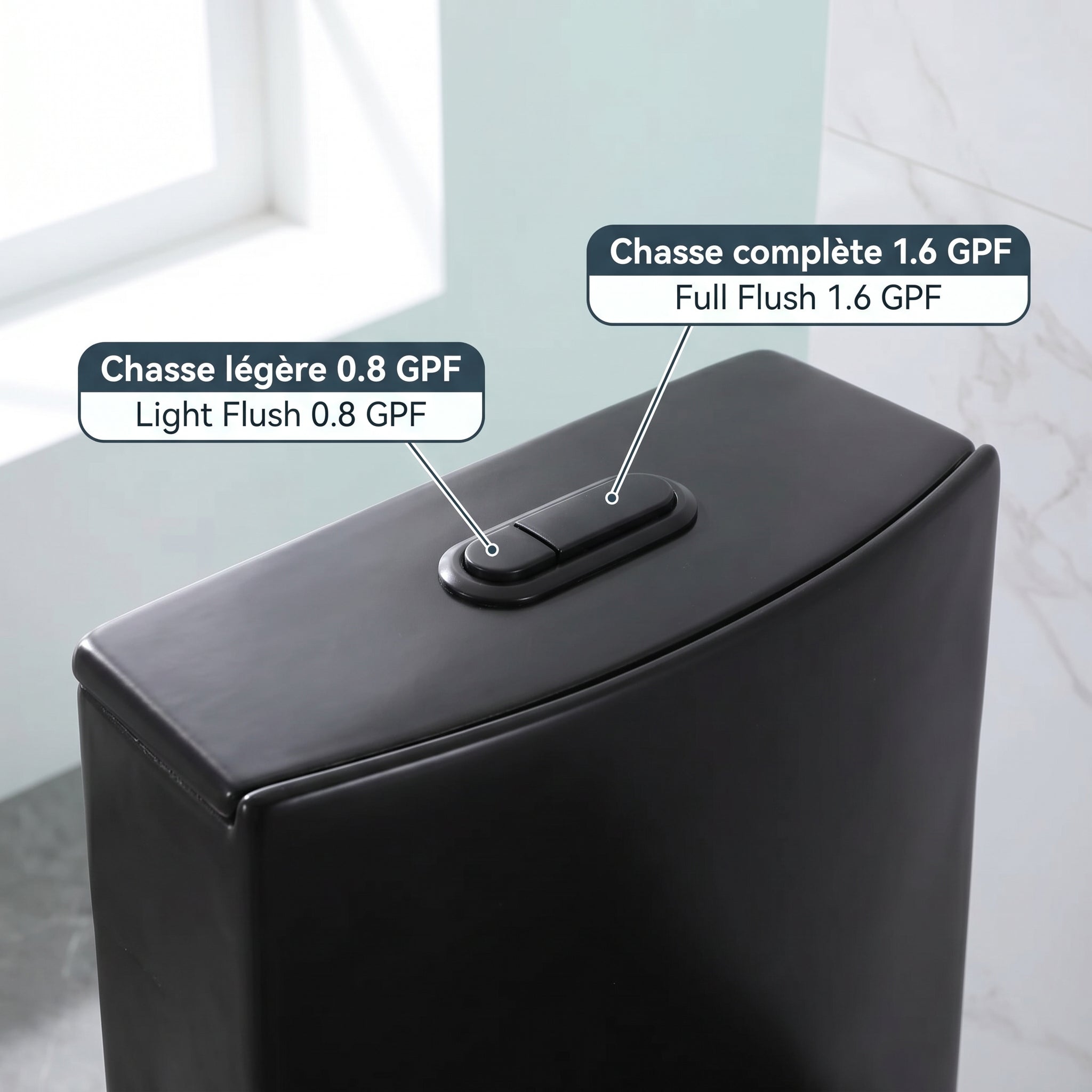 Catania Matte Black One-Piece Toilet with Dual Flush Technology