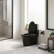 Catania Matte Black One-Piece Toilet with Dual Flush Technology