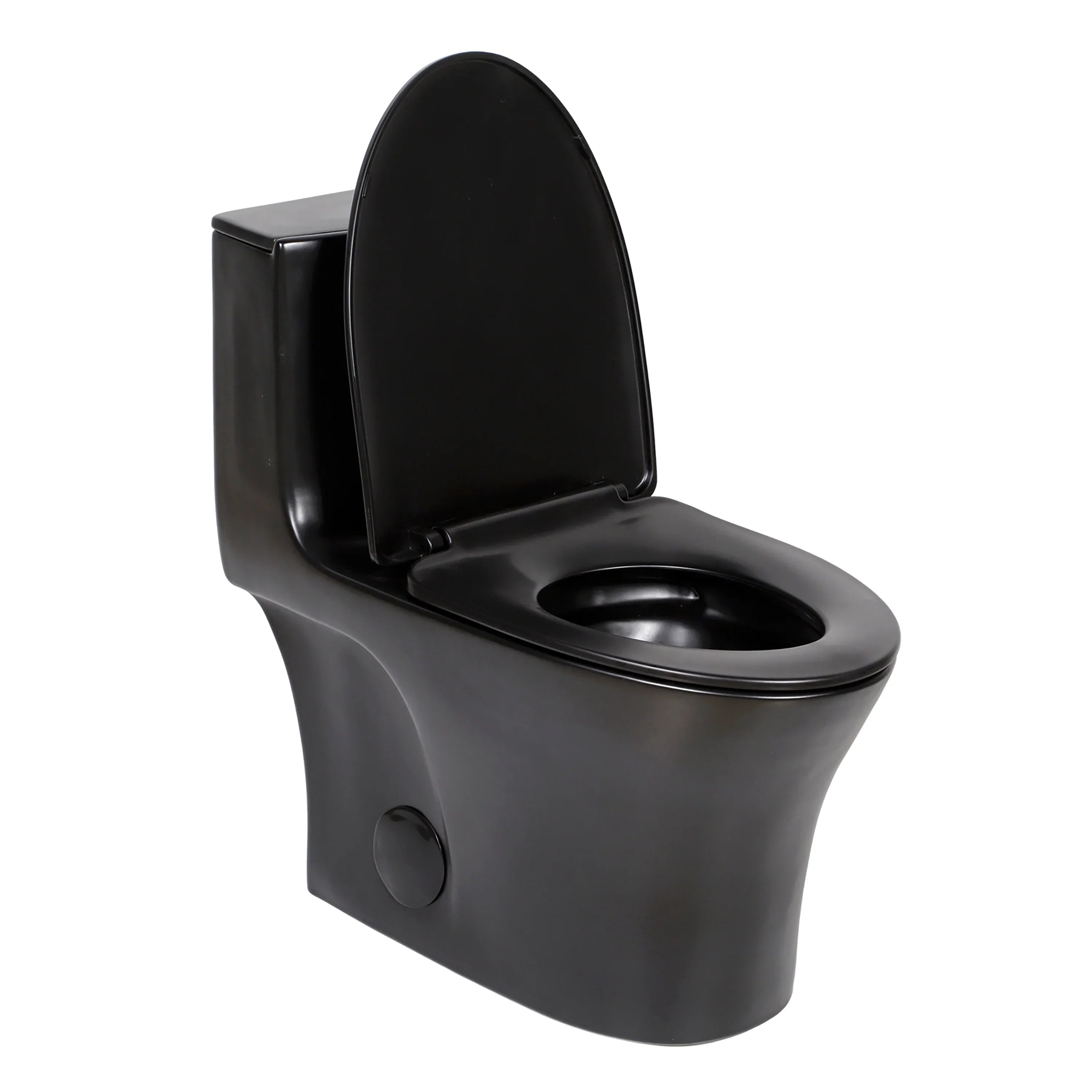 Toilettes Monobloc - Prato en Noir