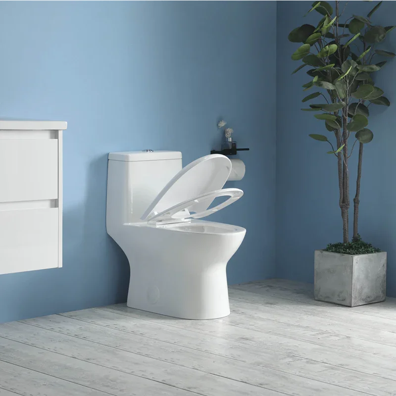 One Piece Toilet - Pesaro - White