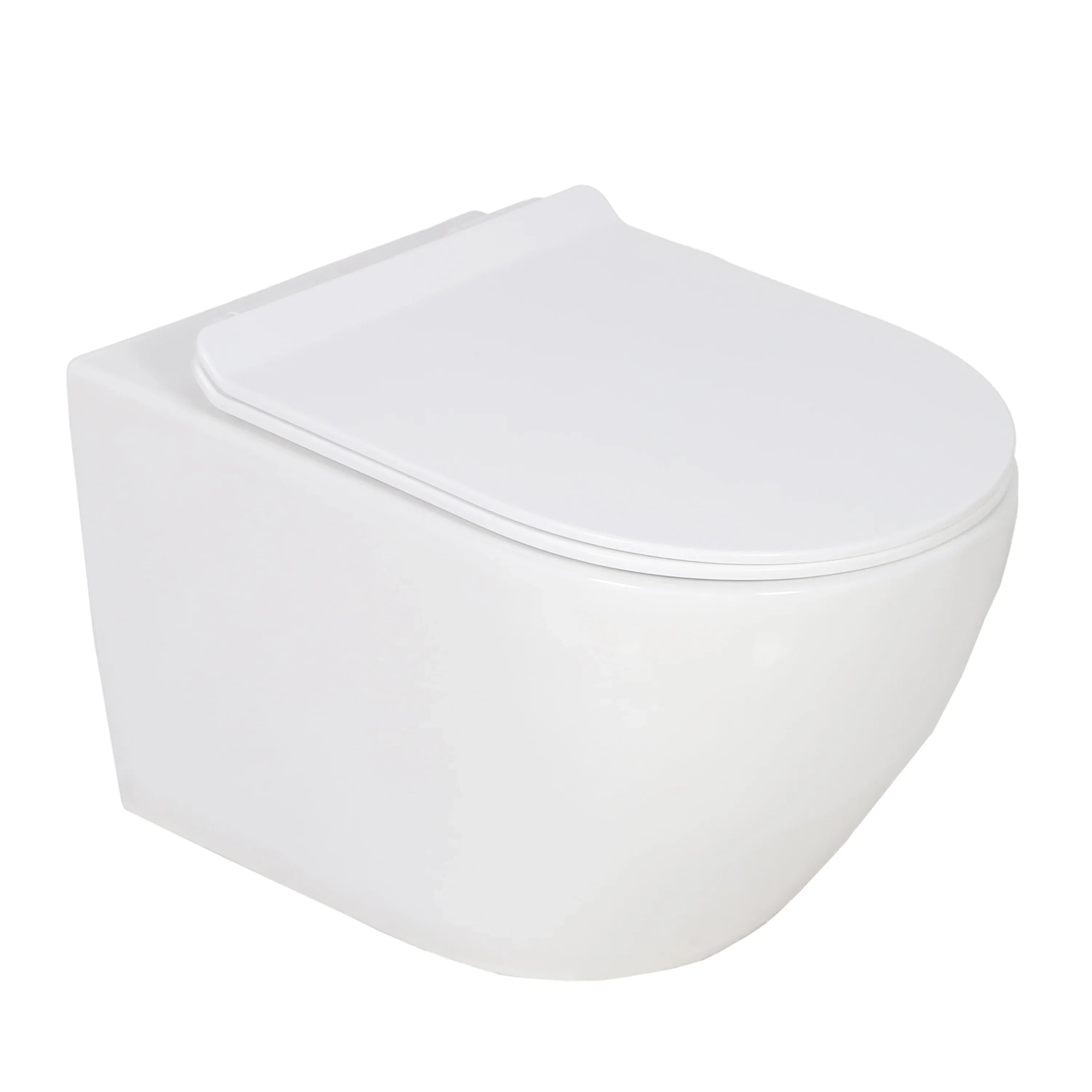 Valentia Dual Flush Elongated Wall-Hung Toilet in Matte White - 1.1/1.6 GPF