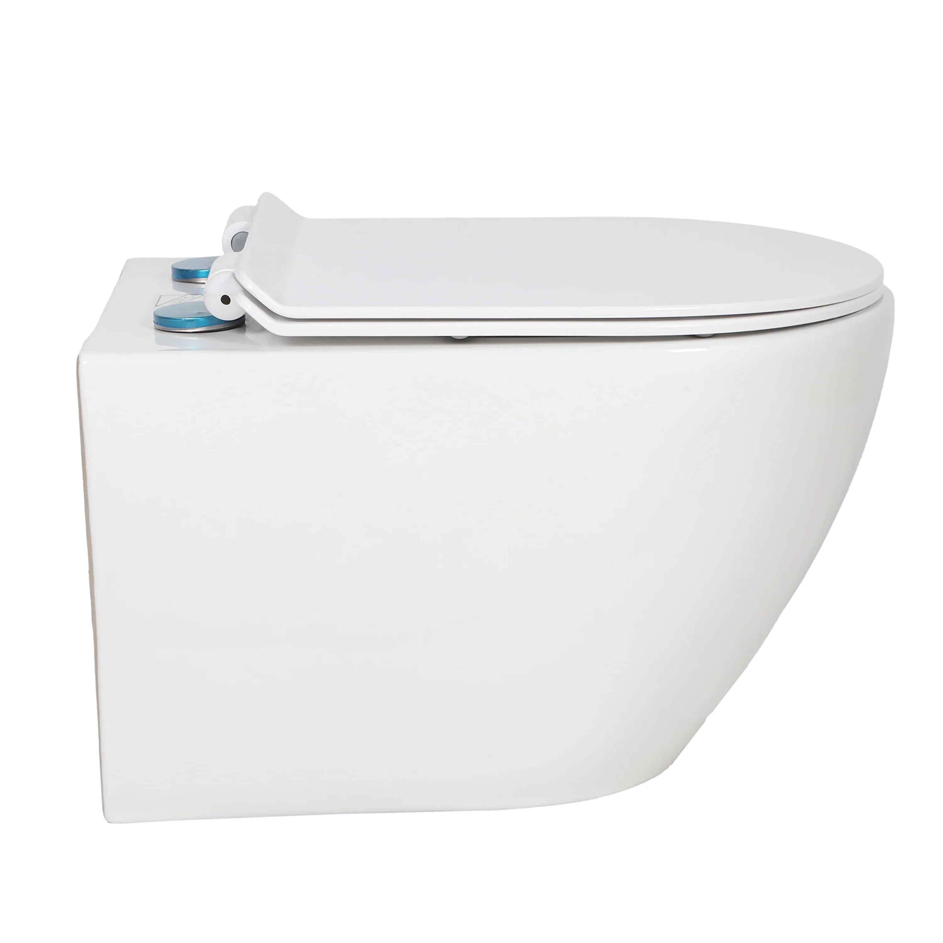 Toilette Murale Valentia Blanche - Double Chasse 1.1/1.6 GPF
