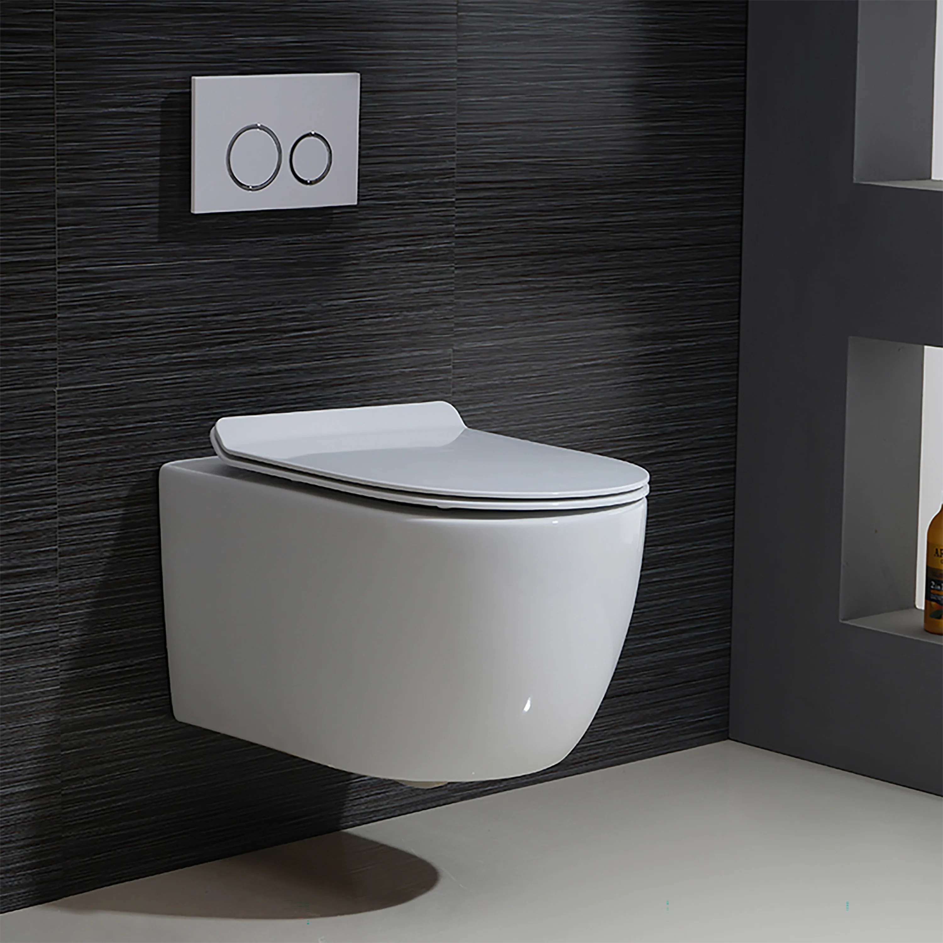 Valentia Dual Flush Elongated Wall-Hung Toilet in Matte White - 1.1/1.6 GPF
