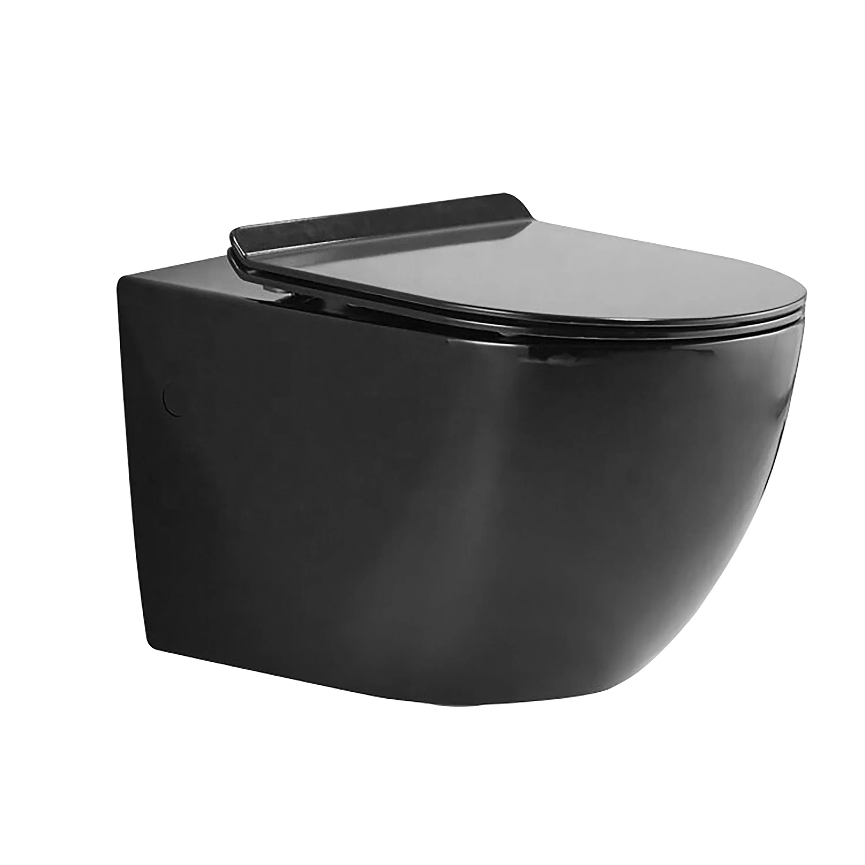 Valencia Dual Flush Elongated Wall-Hung Toilet in Matte Black - 1.1/1.6 GPF