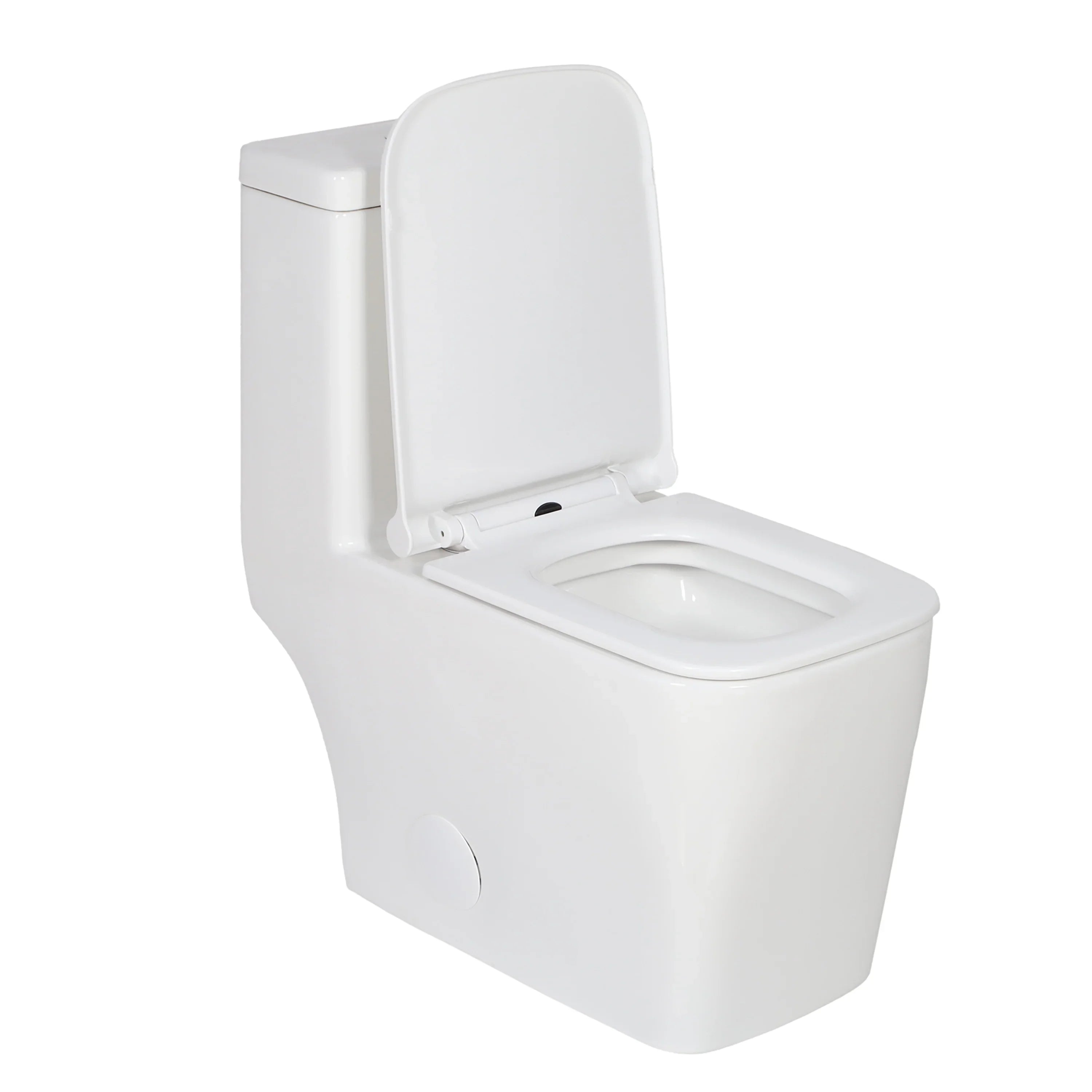 Toilettes Monobloc - Tornado en Blanc