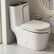 Calcutta One-Piece Toilet – White with Black Accents