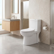 Toilette Monobloc - Hilton
