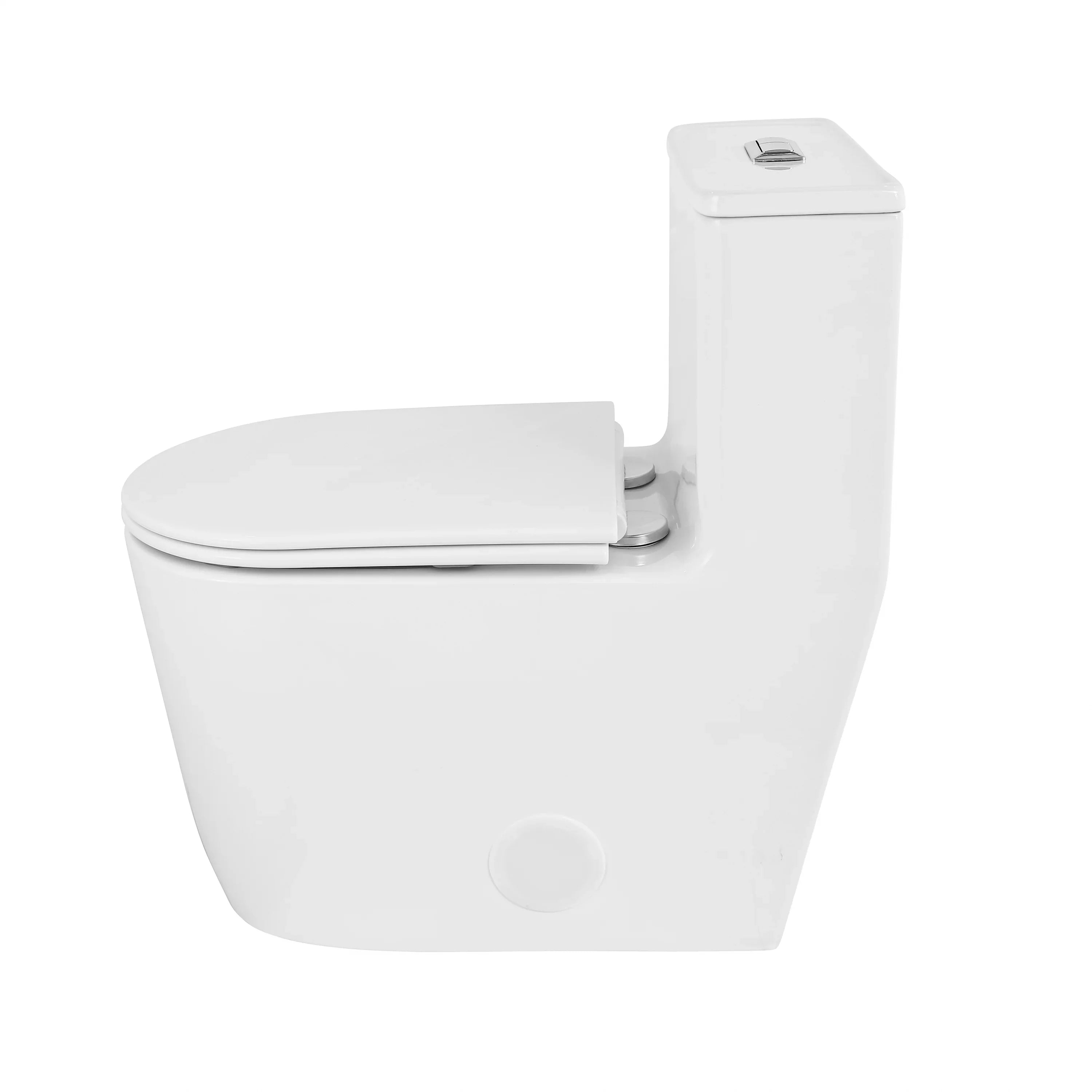 Toilettes Monobloc - Toledo en Blanc