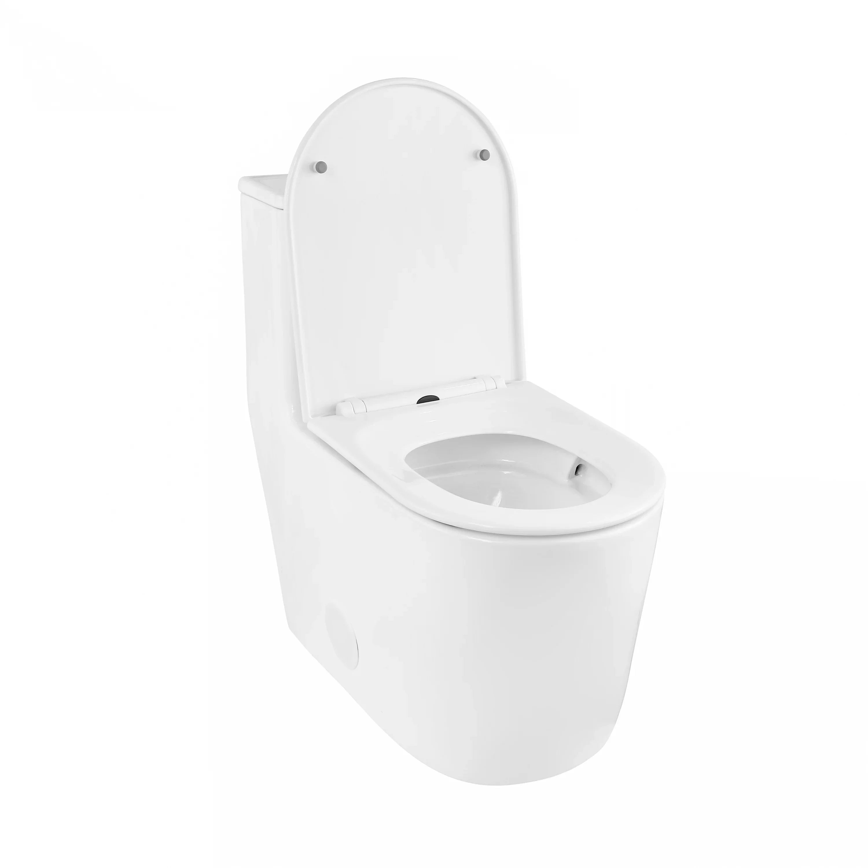 Toilettes Monobloc - Toledo en Blanc