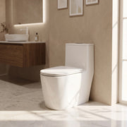 One Piece Toilet - Toledo in White