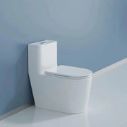 Toilettes Monobloc - Toledo en Blanc