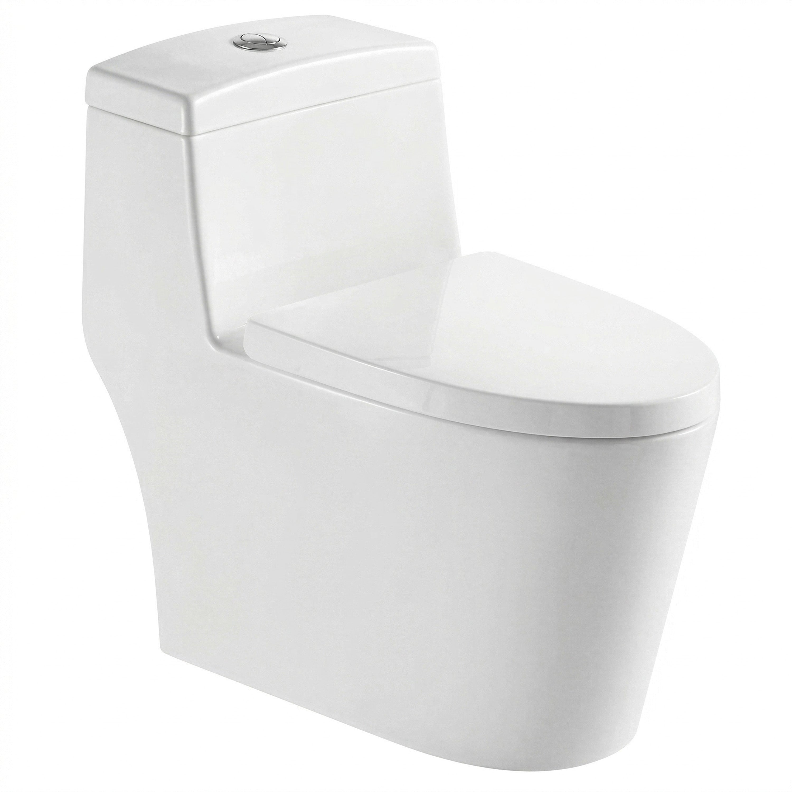 Vitoria One-Piece White Toilet with Dual Flush System
