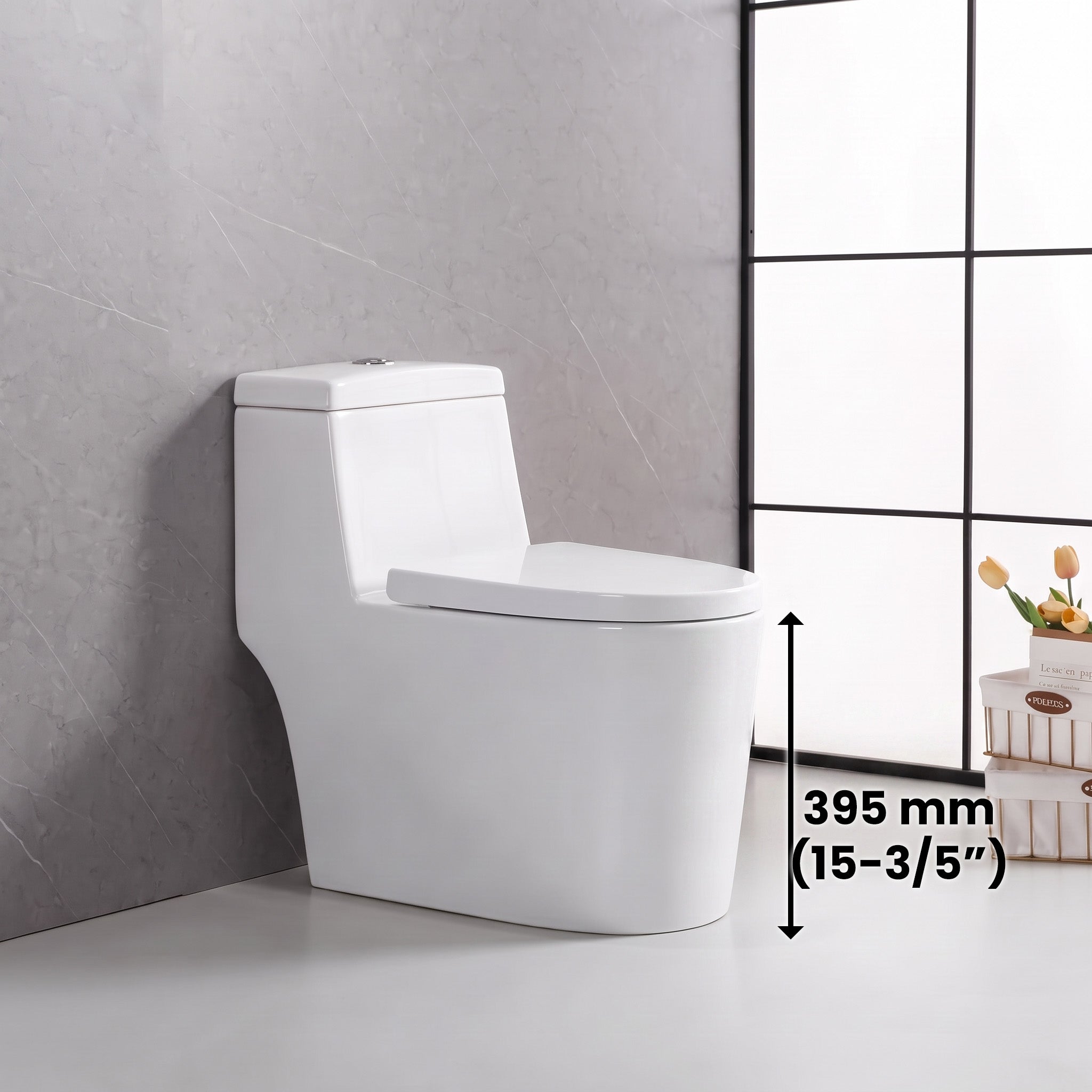 Vitoria One-Piece White Toilet with Dual Flush System