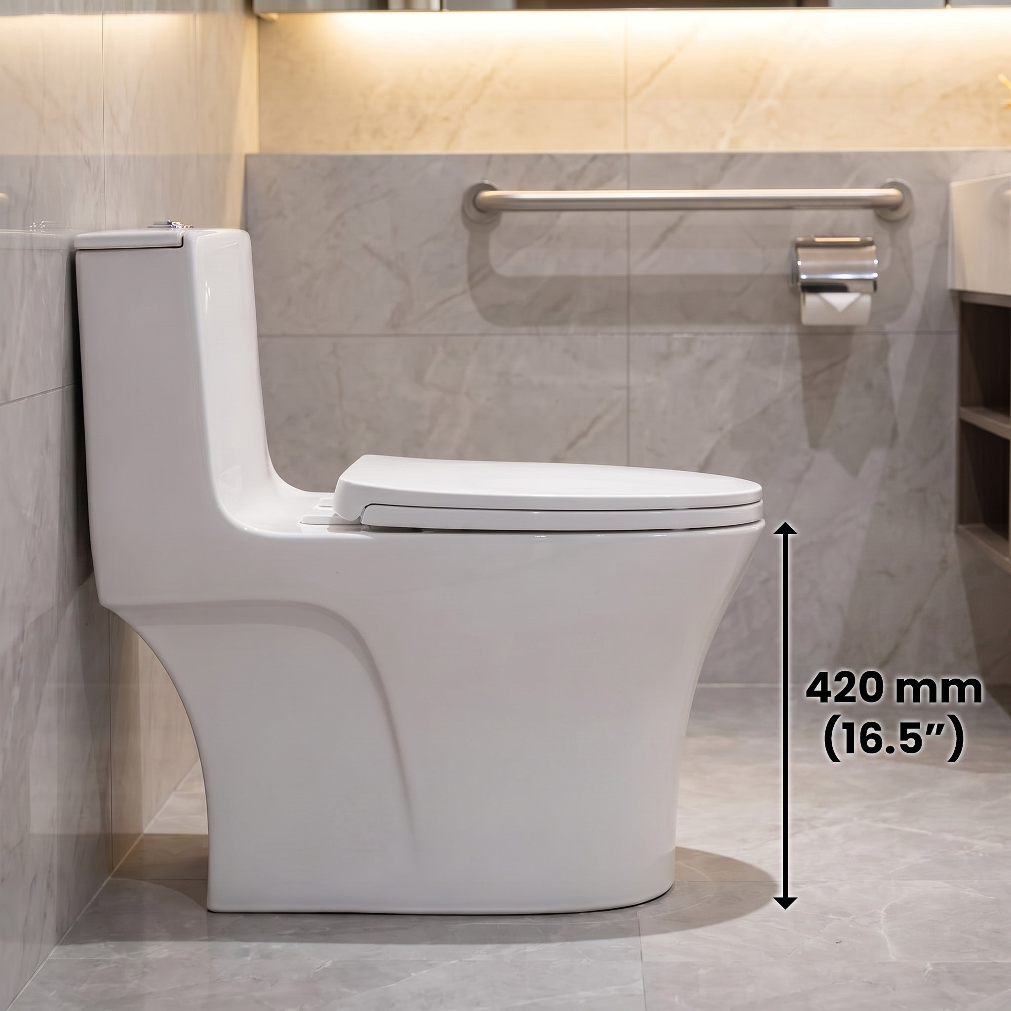 One Piece Toilet - Malaga ADA