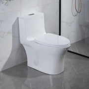 Toilettes Monobloc - Malaga ADA