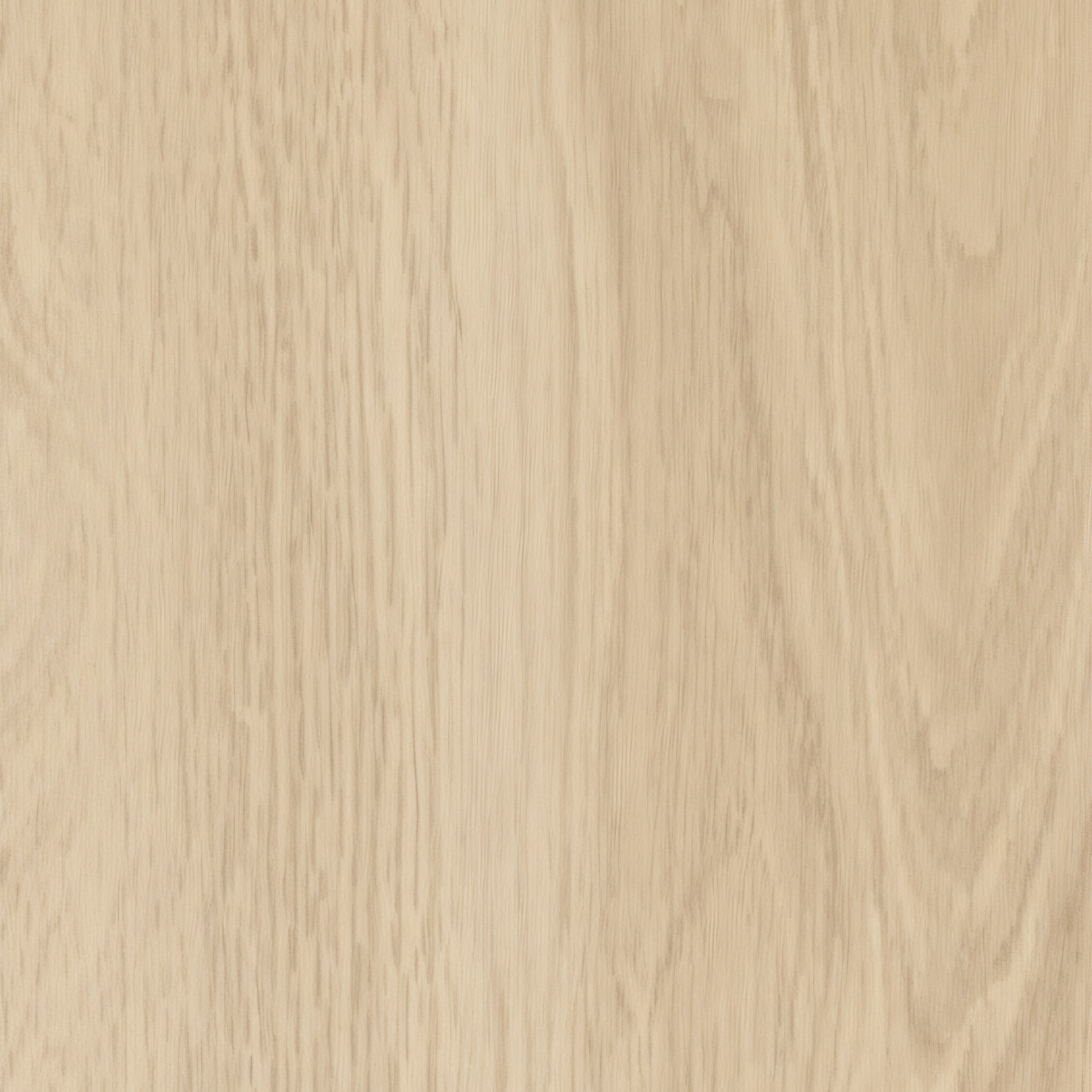 Revêtement de sol vinyle SPC Vicenza 6,5 ​​mm à clic avec sous-couche | 9" x 60"