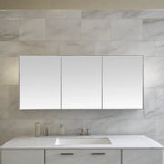 60" Medicine Cabinet - Aluminum