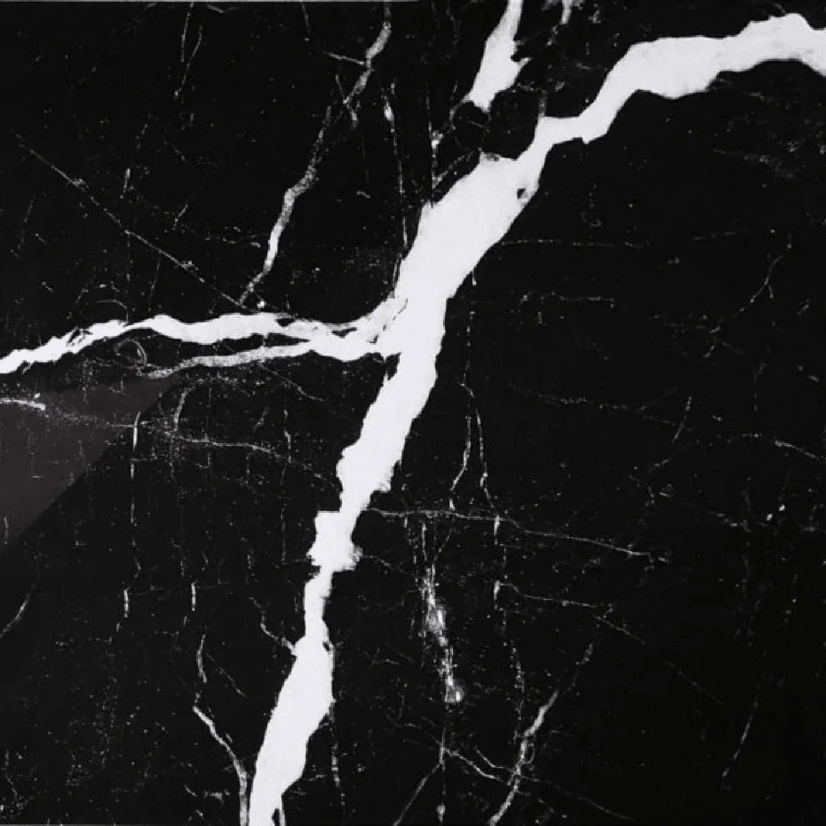 24" x 48" Porcelain Tile - Canelli Grafite - Golden Elite Deco