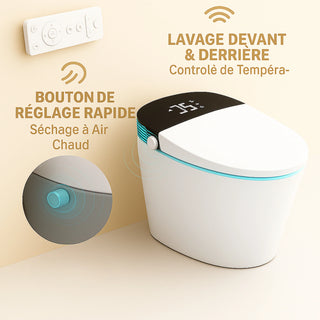 SERA Witty Smart Bidet Toilet, One-Piece Toilet with Auto Jet Flush, Auto Open/Close Lid, Warm Water Wash, Warm-Air Dryer, Heated Seat – Black Display