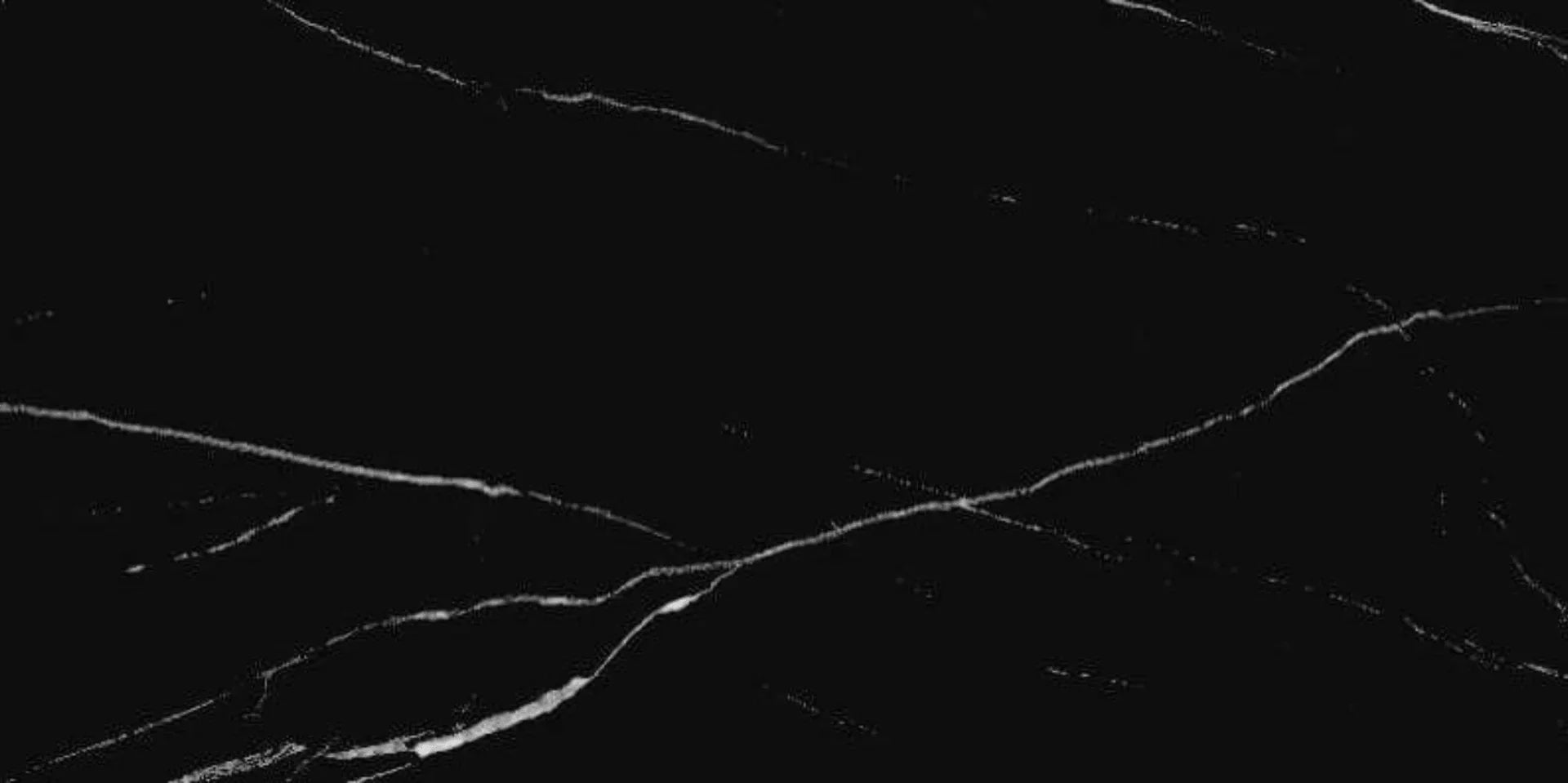 24" x 48" Porcelain Tile - Forest Black - Golden Elite Deco