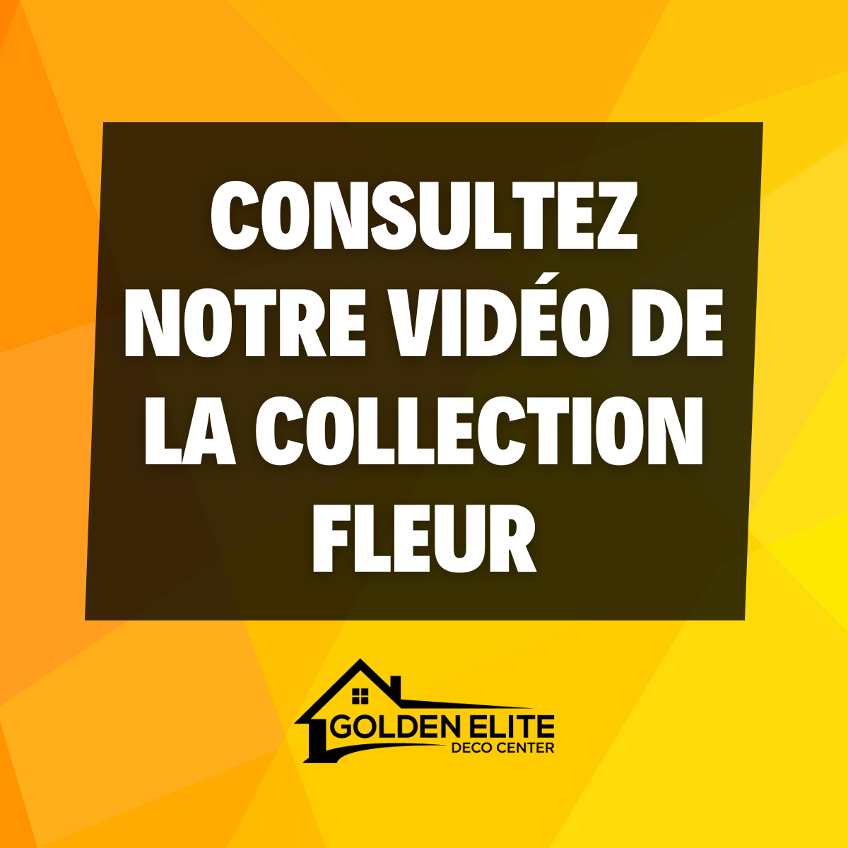 Charger la vidéo : 