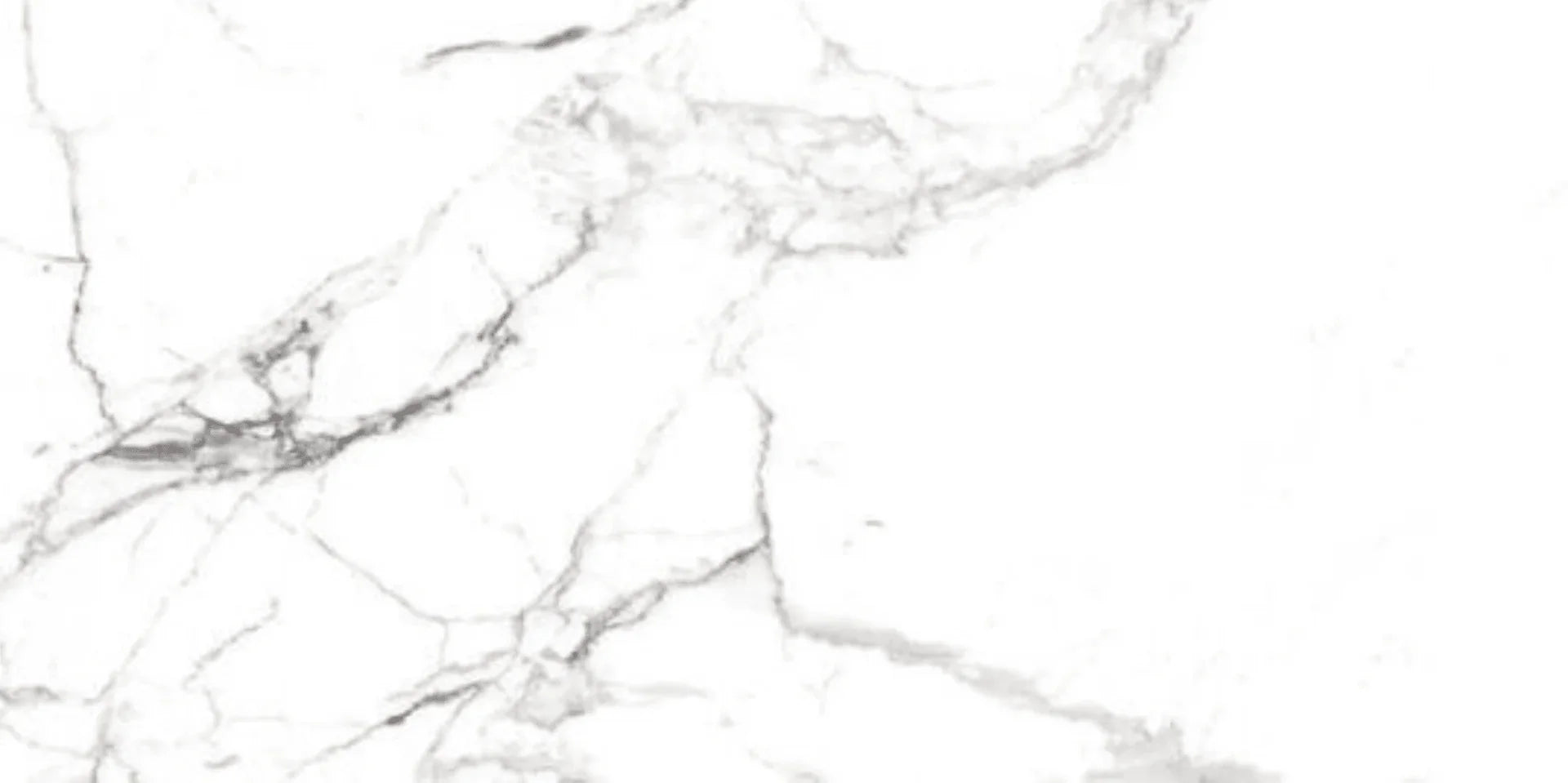 24" x 48" Porcelain Tile - Rockwood Bianco - Golden Elite Deco