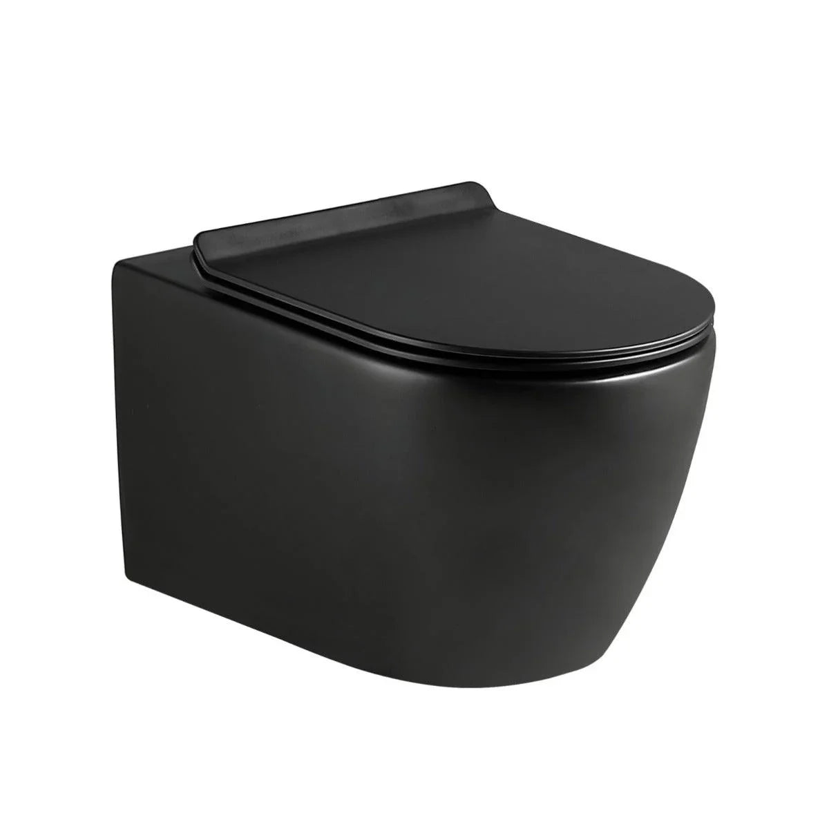 One Piece Wall Hung Toilet - Valencia - Black - Golden Elite Deco
