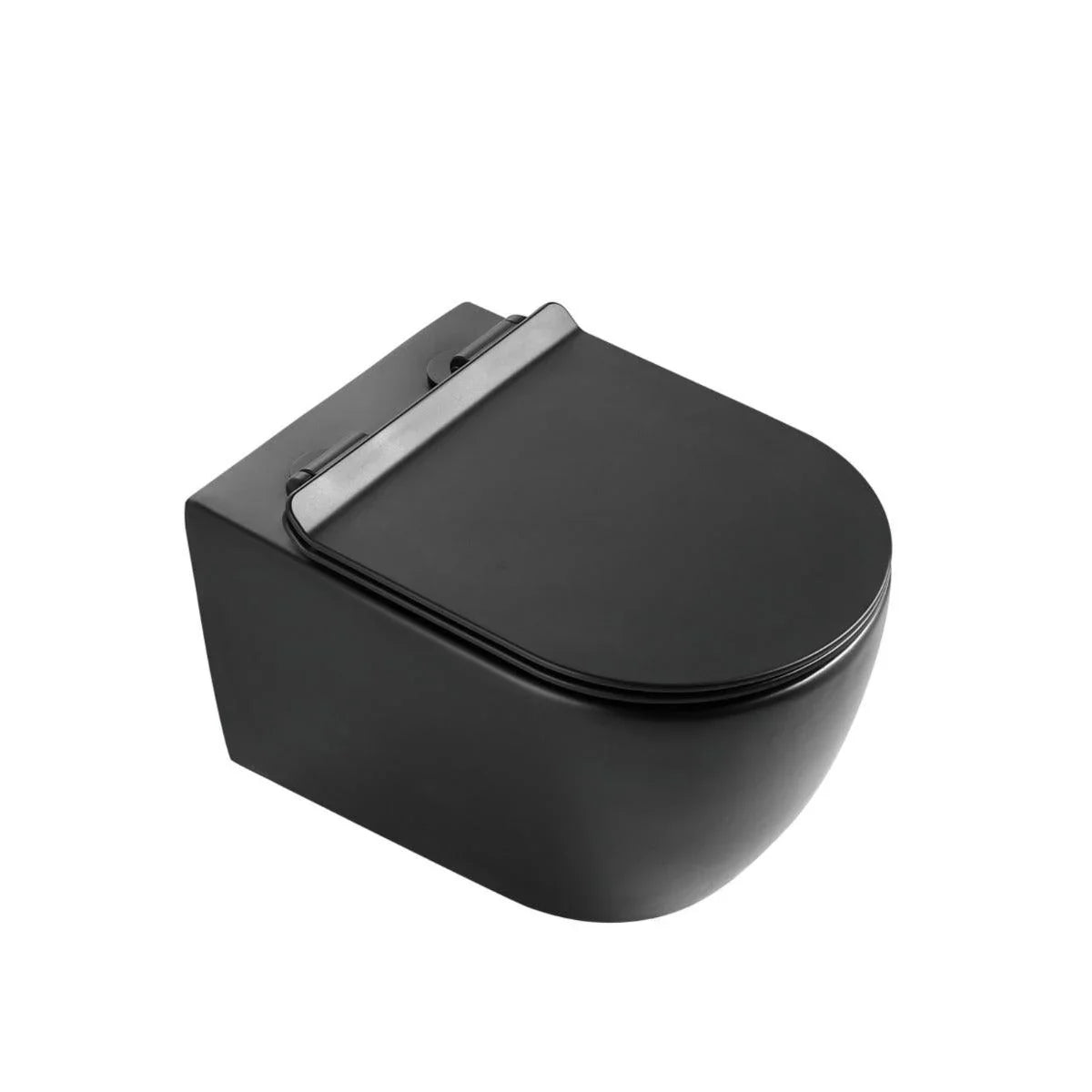 One Piece Wall Hung Toilet - Valencia - Black - Golden Elite Deco