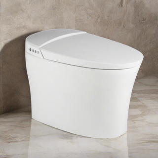 Toilette Monobloc Intelligente - Granada